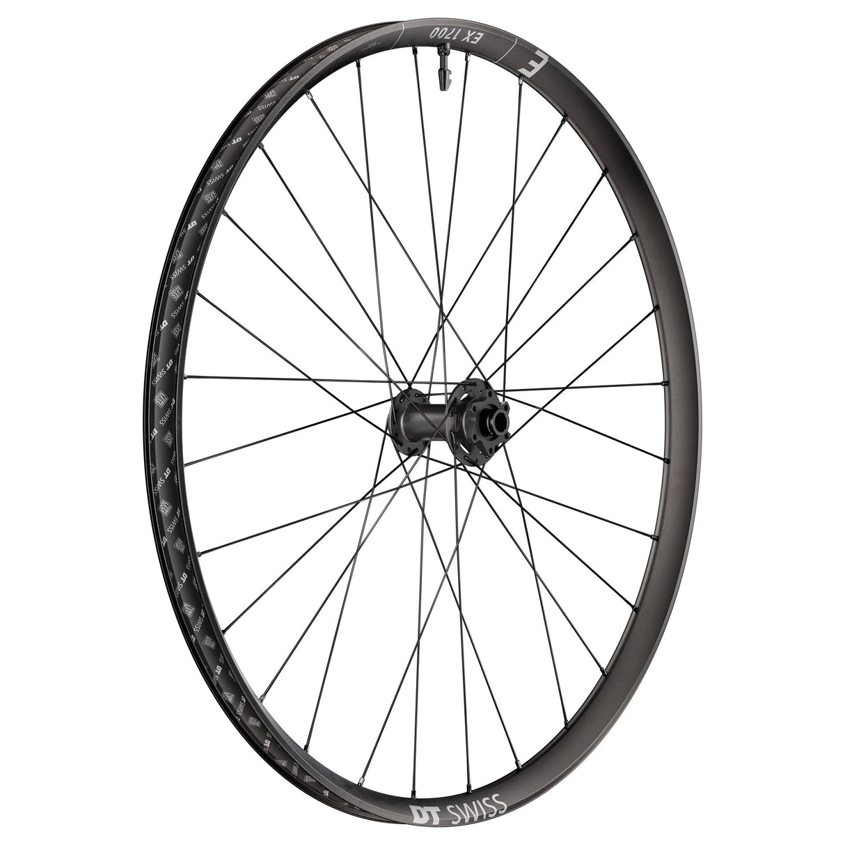 DT Swiss EX 1700 Classic Front Wheel - 29" - 15x110mm - The Lost Co. - DT Swiss - WEX1700BFIXSA27971 - 7613052546889 -