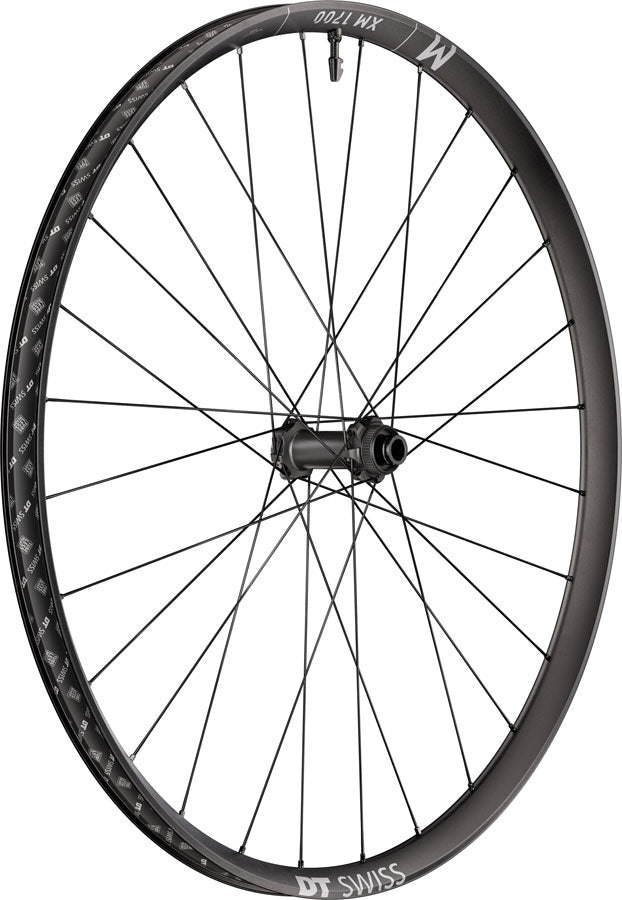DT Swiss XM 1700 Spline 30 Front Wheel - 29" - 15x110mm - Center-Lock - The Lost Co. - DT Swiss - WXM1700BEIXSA27944 - 7613052546698 -
