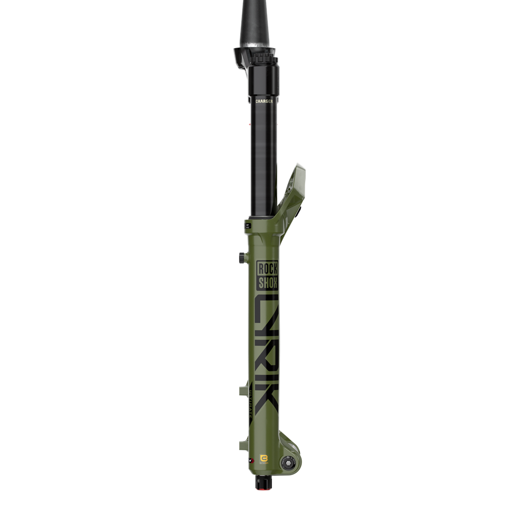 RockShox Lyrik Ultimate - 29" - 160mm - Green - Charger 3.1 RC2 - D2