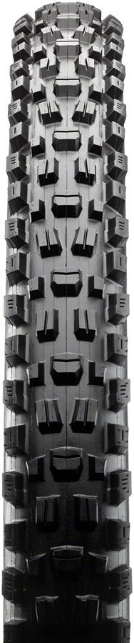 Maxxis Assegai Tire - 29 x 2.6 Tubeless Folding Black 3C Terra EXO - The Lost Co. - Maxxis - J592808 - 4717784038629 - -