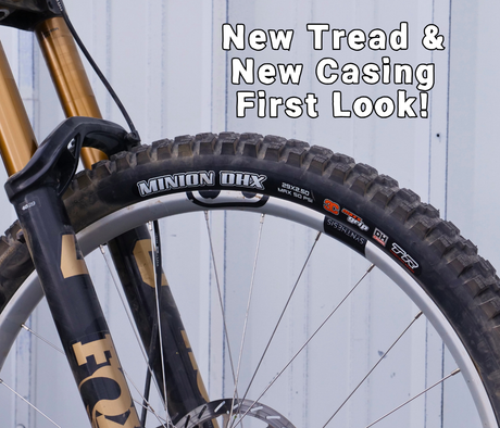 Maxxis Minion DHX  and NEW DH Casing | First Look