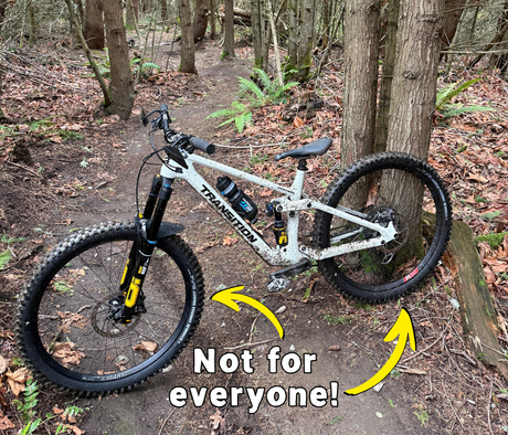 Schwalbe Shredda Review | My New Favorite Compromise