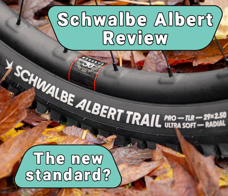 Schwalbe Albert Review