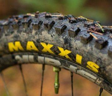 Maxxis MTB Tires | Sidewalls, Compounds, Front Tires, Rear Tires