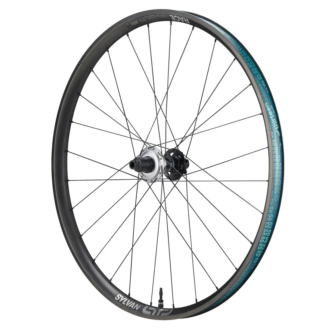 E*thirteen Sylvan Sidekick Race - 12x157 - XD - 29" - Carbon - The Lost Co. - E*thirteen - WH5SKA-303 - 4711280344949 - 
