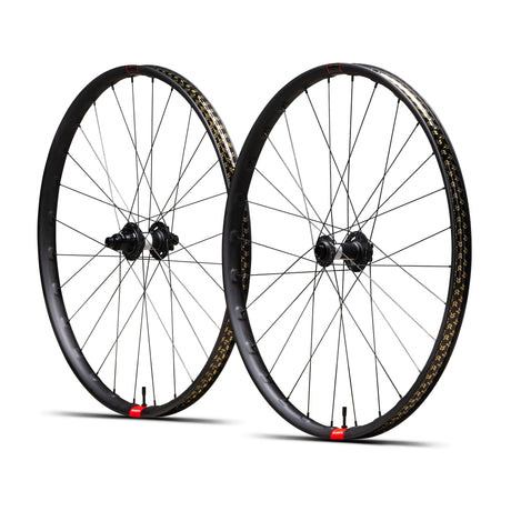 Reserve 30 Frysauce Carbon Wheelset - MX - Boost - 6 - Bolt - DT 350 - XD 90t Deg - The Lost Co. - Reserve Wheels - 86 - 28669 - 192219490915 - 