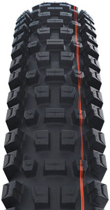 Schwalbe Albert Tire - 29x2.5 - Gravity Pro - Addix Soft - Radial - E - 50 - The Lost Co. - Schwalbe - 11654589 - 4026495945288 - 