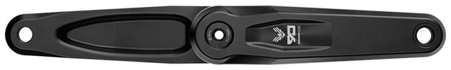 SRAM Eagle 90 Ebike Crankarms - 160mm - ISIS Bosch Cap - The Lost Co. - SRAM - 00.6118.702.003 - 710845904981 - 