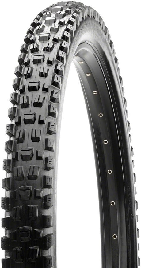 Maxxis Assegai Tire - 29 x 2.6 Tubeless Folding Black 3C Maxx Terra EXO+ - The Lost Co. - Maxxis - J592809 - 4717784038612 - -