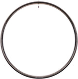Stan's NoTubes Flow EX3 Rim - 29" - 32H - The Lost Co. - Stan's No Tubes - H060717-04-29 - 847746061175 - -